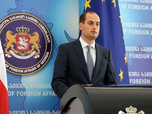 Gürcüstanın yeni baş diplomatı seçildi