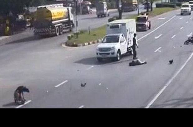 Bu görüntülər hər kəsi heyrətləndirir