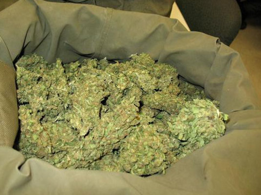 6 kq-dan çox marixuananı satarkən tutuldu