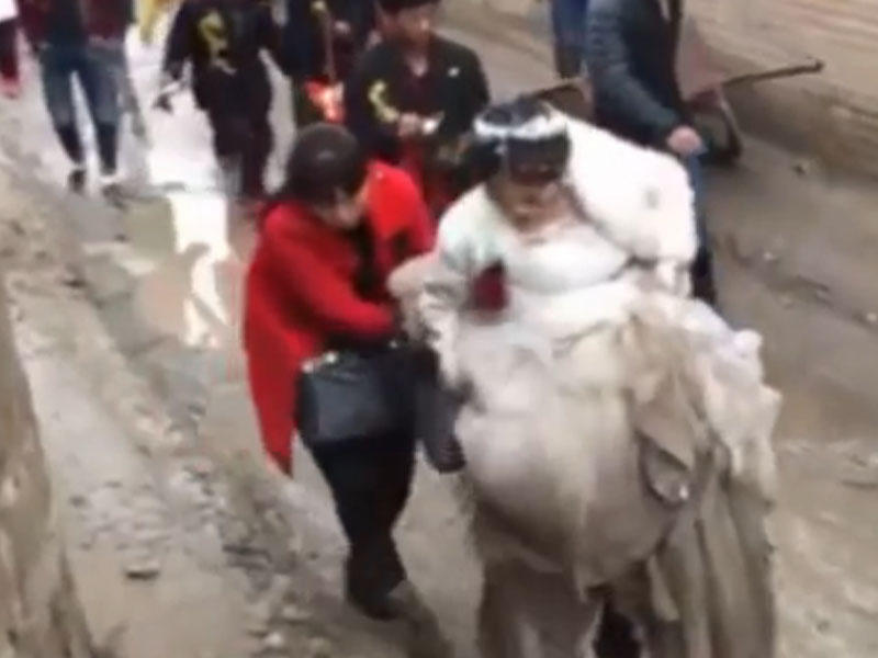 Toy gəlin üçün əzaba döndü