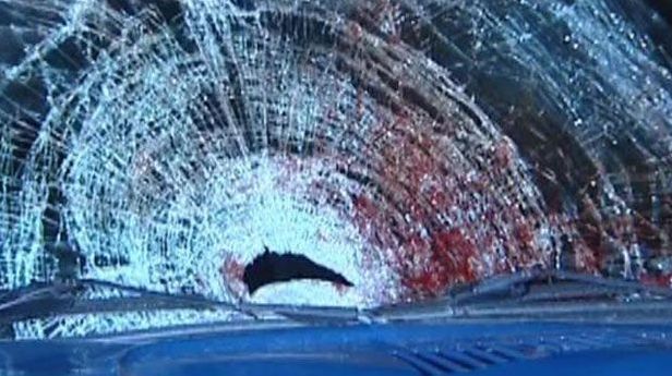 Sərxoş sürücü ata və oğlunu öldürdü