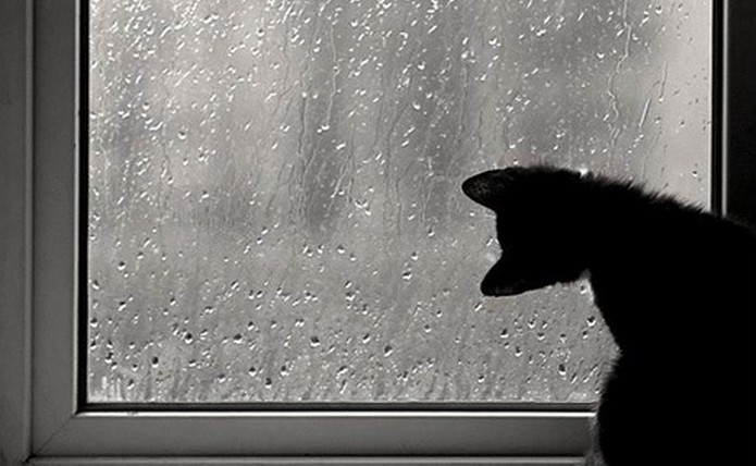 Sabah yağış yağacaq