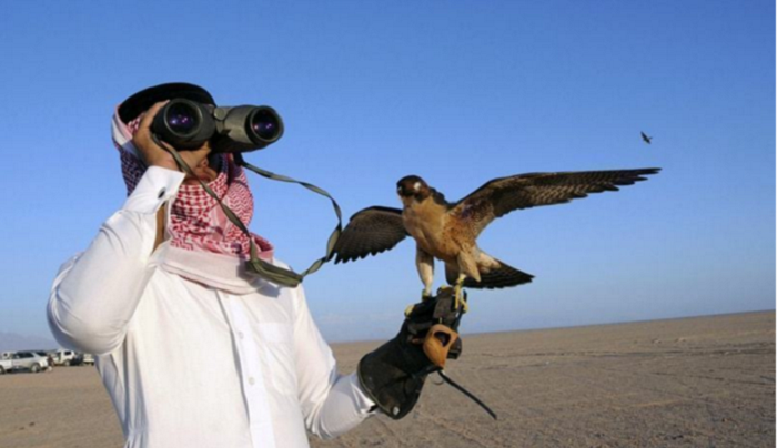 Qətər monarx ailəsinin ov edən üzvlərini