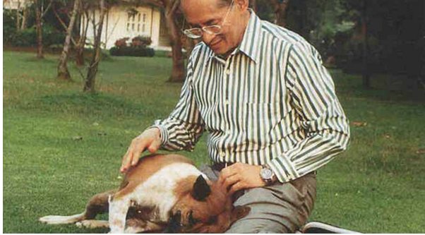 Kralın itini təhqir etdi