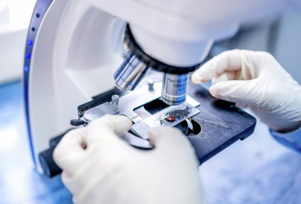 Avropada ölümcül virus baş qaldırdı