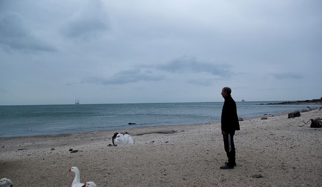 `Bəlkə də Xəzərdə Su pərisi var...`