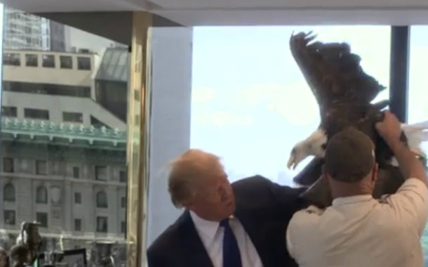 Qartal Donald Trampa hücum etdi