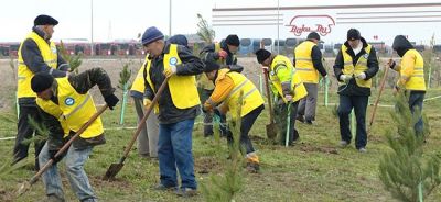 Ağacəkmə aksiyası keçirilib