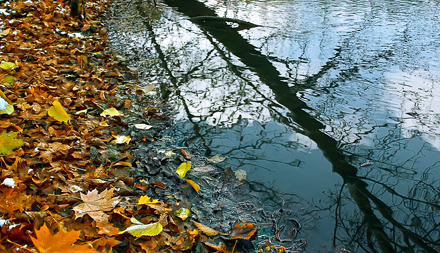 Bakıda və Abşeron yarımadasında külək axşama doğru mülayimləşəcək