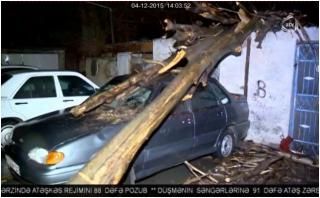 Güclü küləyin və yağışın fəsadları