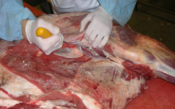 Bakıda 20 ton ətdə xəstəlik tapıldı