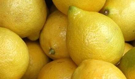 Rusiya Türkiyə limonuna qadağa qoymadı