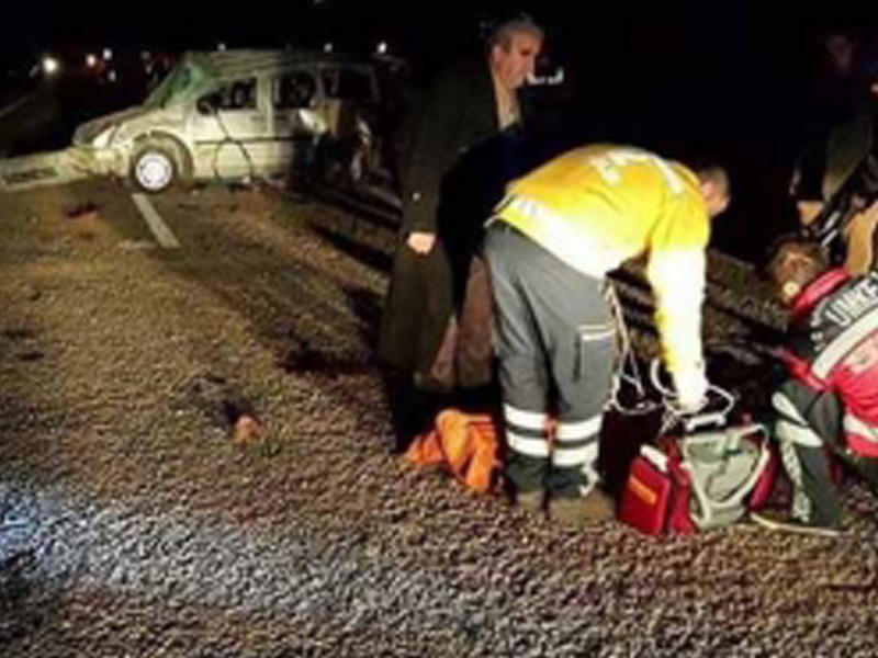 İt altı nəfərin ölümünə səbəb oldu