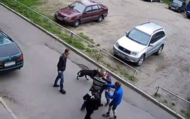 Bakıda silahlı insident