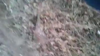 Öz həyatını dostunun qollarına həvalə etdi