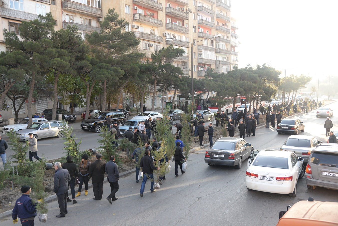 Nəsimi rayonunda ağacəkmə aksiyası keçirilib