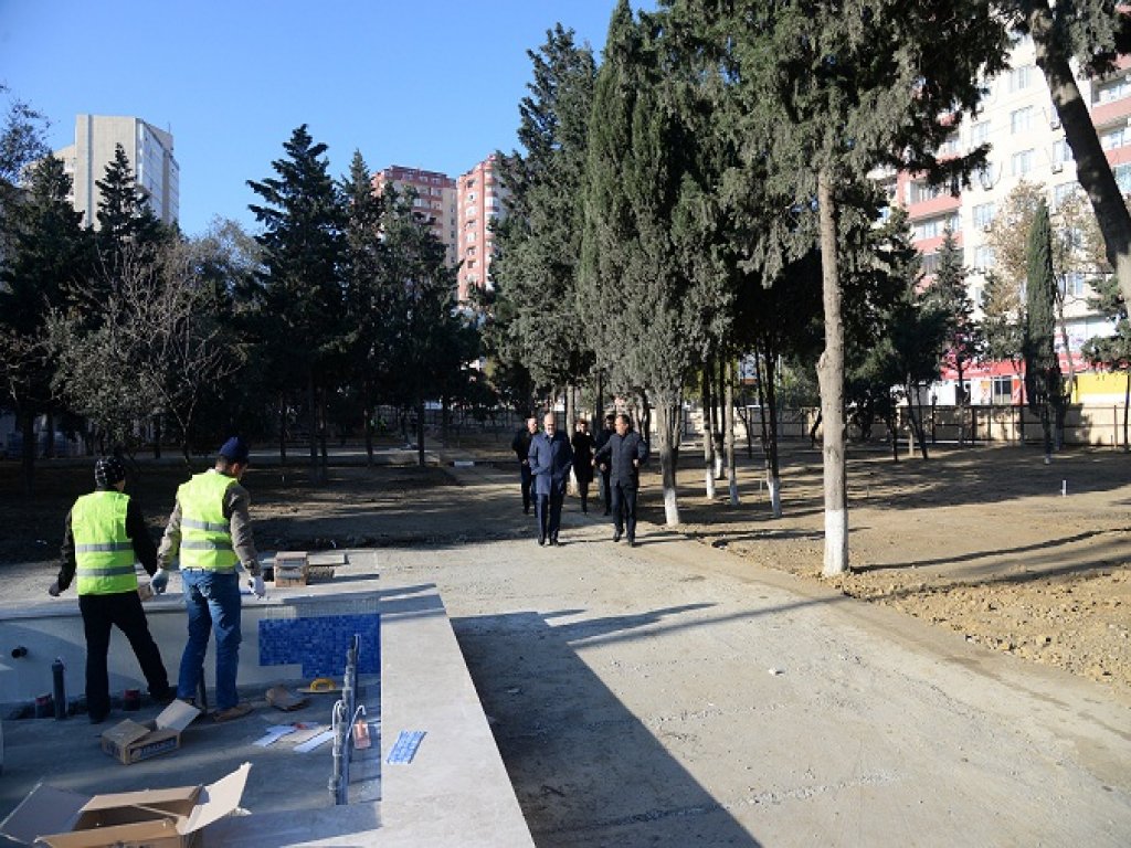 Nəsimi rayonunda Yaşıl Marafon layihəsi çərçivəsində ağacəkmə aksiyası keçirilmişdir