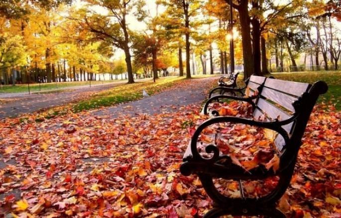 Bazar günü hava necə olacaq?