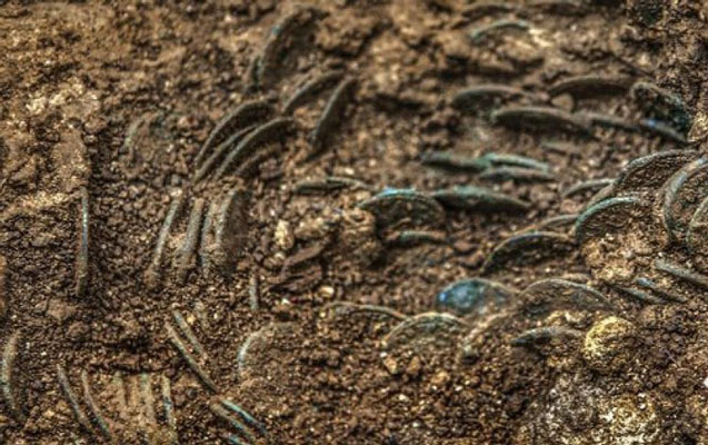 Albalı bağından xəzinə tapdı