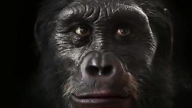 Son 6 milyon il ərzində insanın üzü necə dəyişib