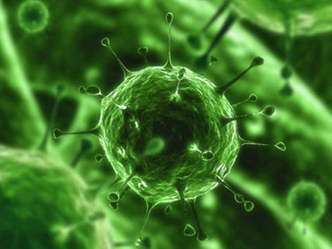 Yeni ölümcül xəstəlik yayılır