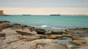 Rusiya Dövlət Duması Xəzər dənizinin bioresurslarının qorunmasına dair sazişi ratifikasiya edib