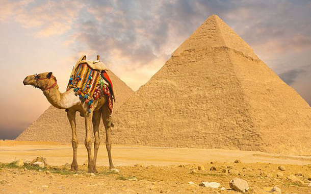 Daha bir nazirlikdən Misir