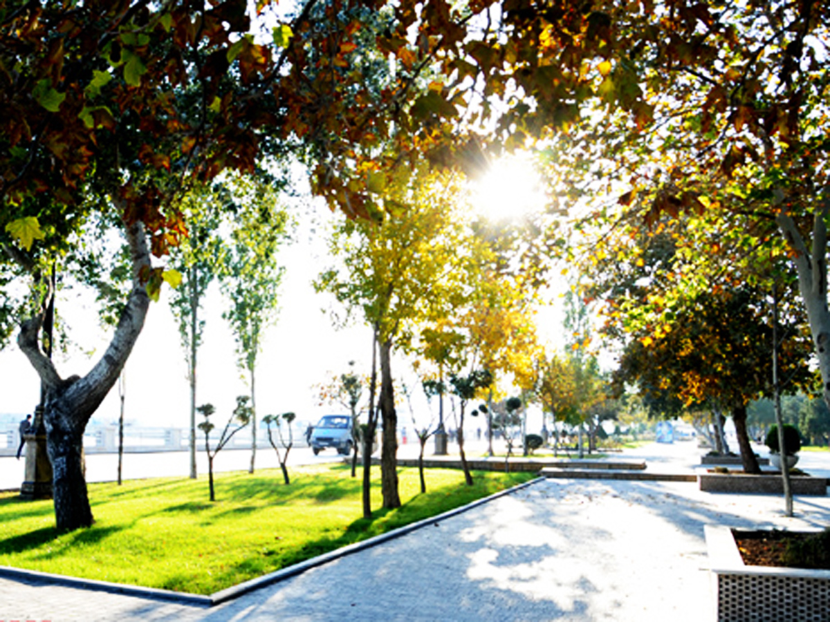 Sabah Azərbaycanda 21 dərəcə isti olacaq