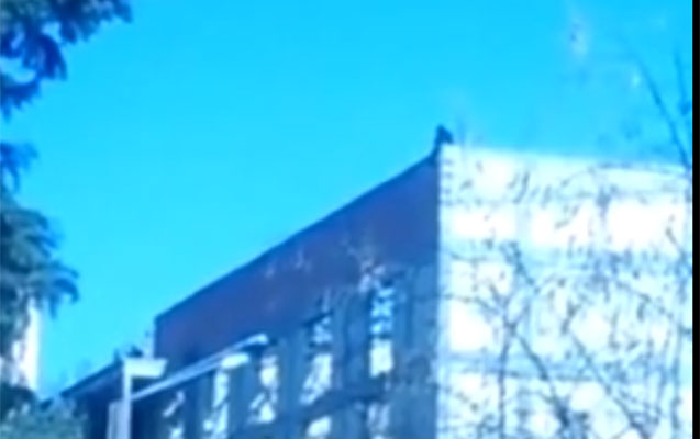 Yenə də eyni binaya qalxaraq özünü atmaq istəyir