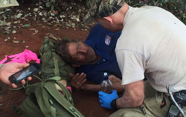 Altı gün qarışqa yedi