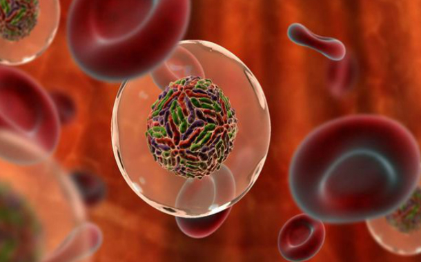 Alimlər Hepatit C üçün tez təsir edən dərman kəşf ediblər