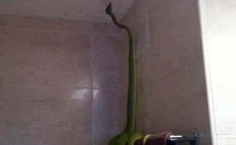 Vanna otağına girəndə şoka düşdülər