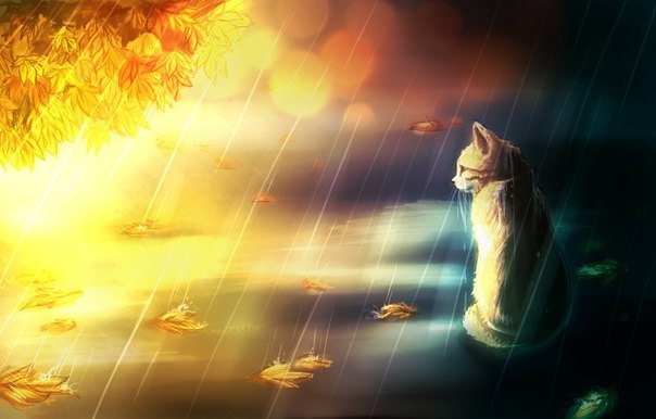 Sabahın hava proqnozu