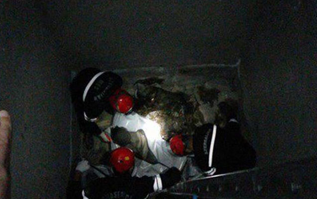 Bakıda şöbə müdirinin faciəli ölümü