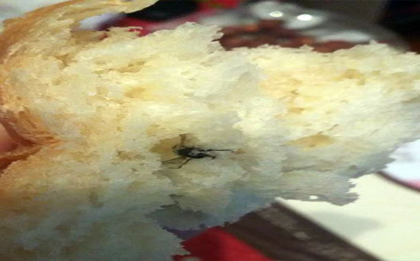 Gəncədə çörəyin içindən böcək çıxıb