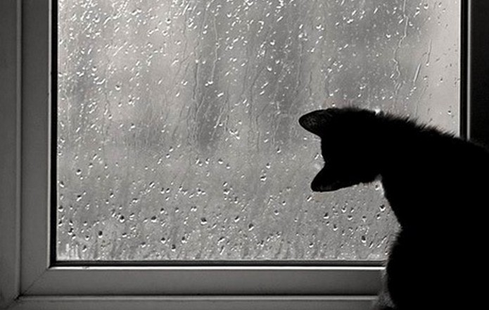 Yenə yağış yağacaq