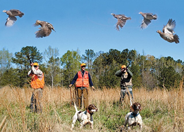 Ova gələn ərəblər tutuldu