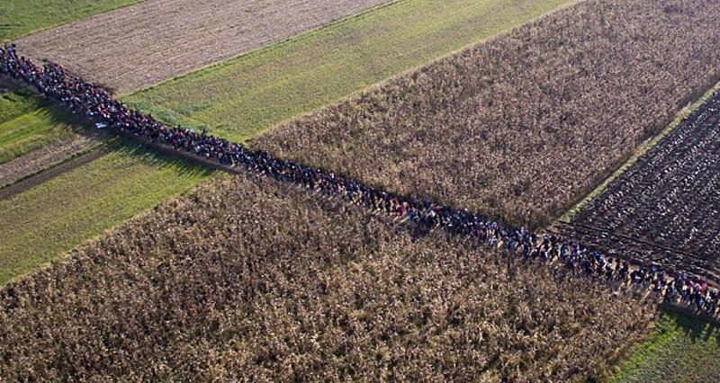 Avropa miqrant selindən qorxuya düşdü