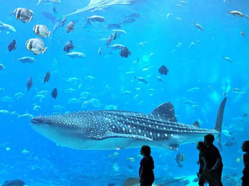 Azərbaycandan olan milyarderlər tikintidən imtina etdilər