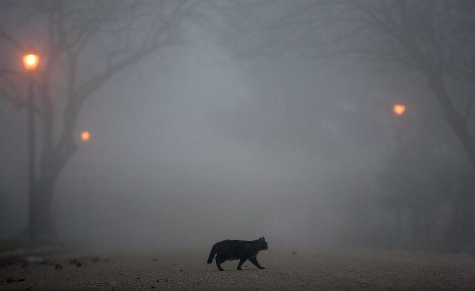 Sinoptiklərdən sabaha olan hava xəbərdarlığı
