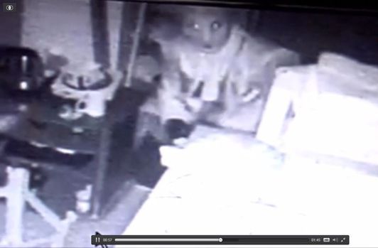 Bakıda oğurluq edən şəxs kameraya düşdü