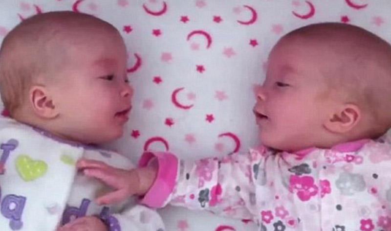 3 aylıq əkiz bacılar söhbətləşdilər