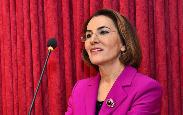 Sona Vəliyeva Ali Media Mükafatının 1-ci dərəcəsi üzrə laureatdır