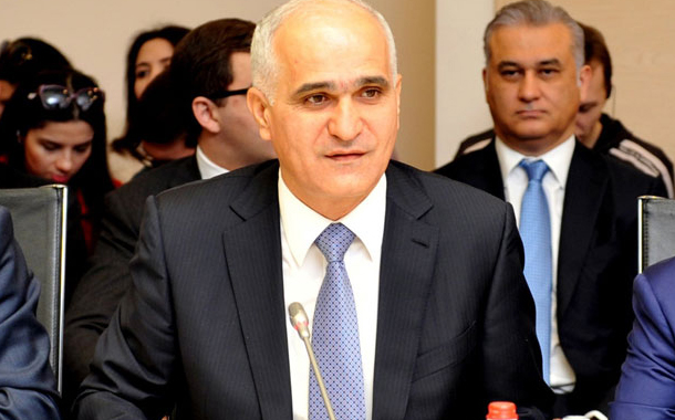 Nazirə yeni yaradılan qurumda vəzifə verildi