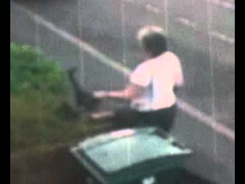 Pişiyə etdiklərinə görə məhkəməyə verildi