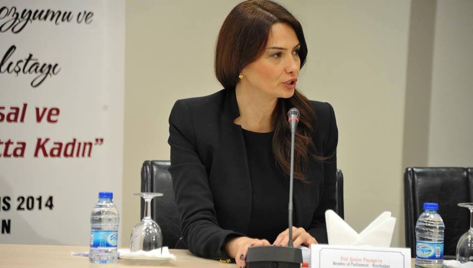 Qənirə Paşayeva Milli Məclisdə Tovuzla bağlı bir sıra təkliflərlə çıxış edib