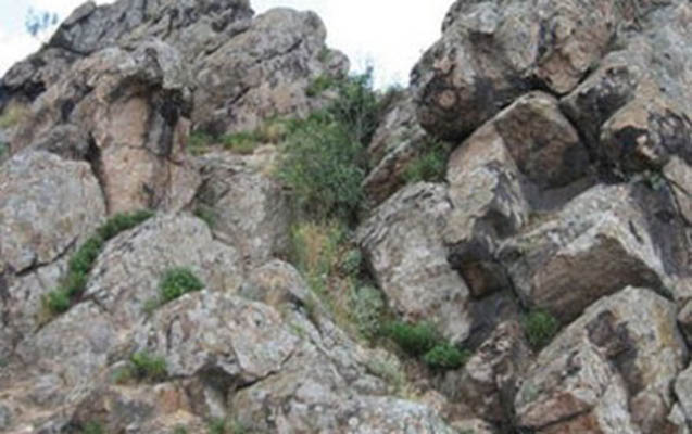 İnək otararkən qayadan yıxıldı