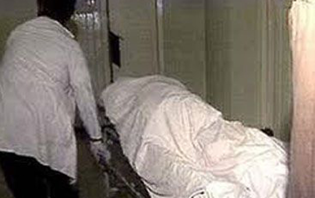 Toy sahibini inək vurdu