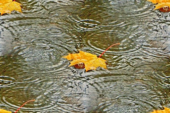 Yağışlı hava davam edəcək