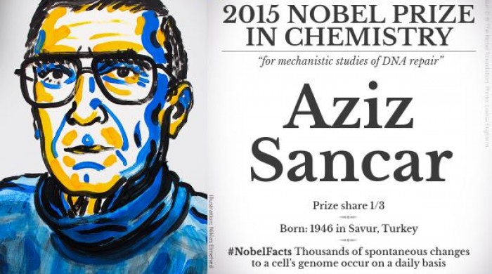 Türk alim Nobel aldı